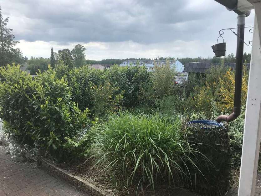 Haus zum Kaufen in Sassenburg 134.900 € 69 m²