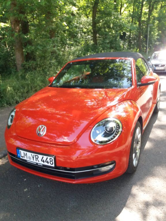 Beetle