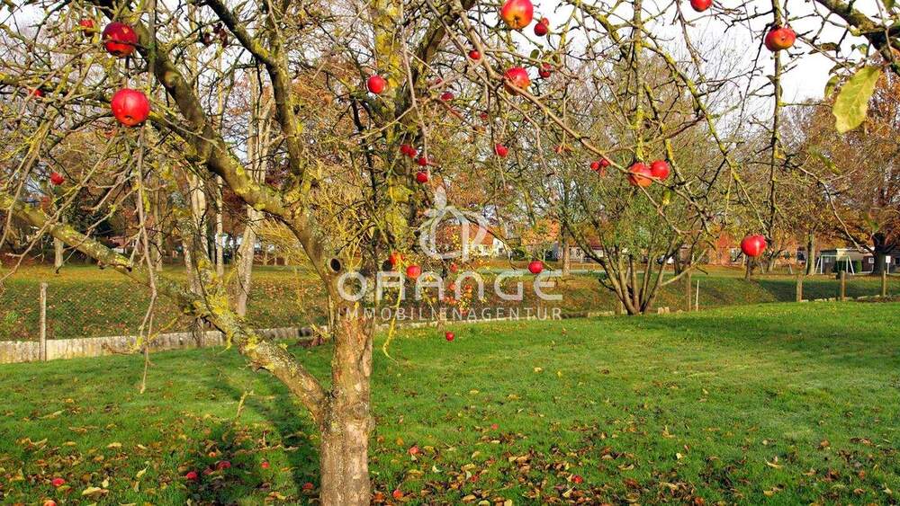 Grundstück Granzin - 40.000&euro; | Angebot:25670689