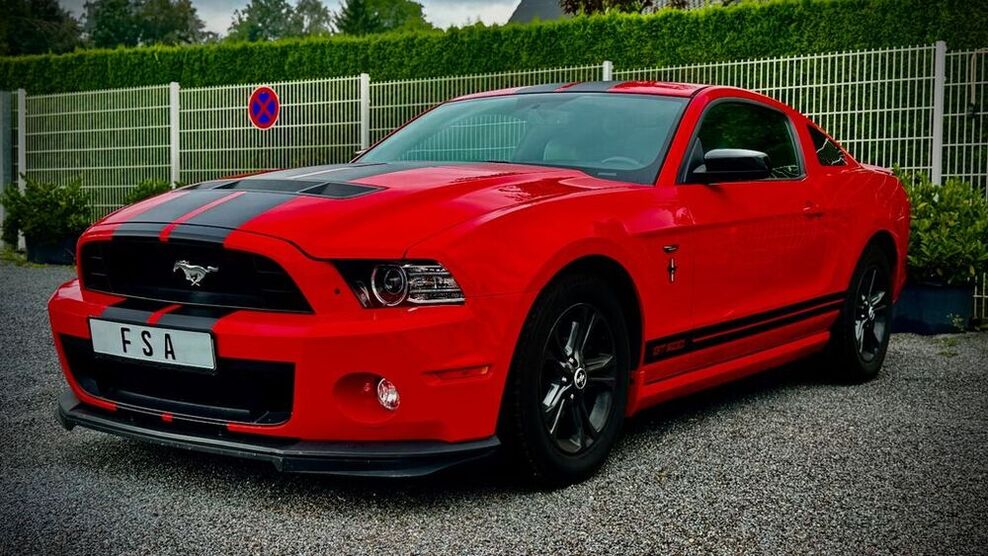 Mustang