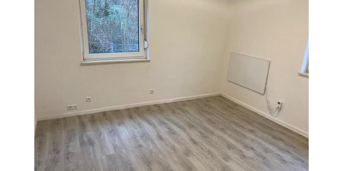 Frisch renovierte 1-Zimmer Wohnung im EG + Arbeitszimmer 2 zimmer