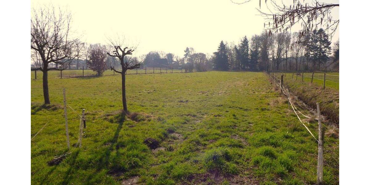 Einfamilienhaus Edewecht Portsloge - 8 Zimmer, 254 m&sup2;, 361.000&euro; | Angebot:26188273