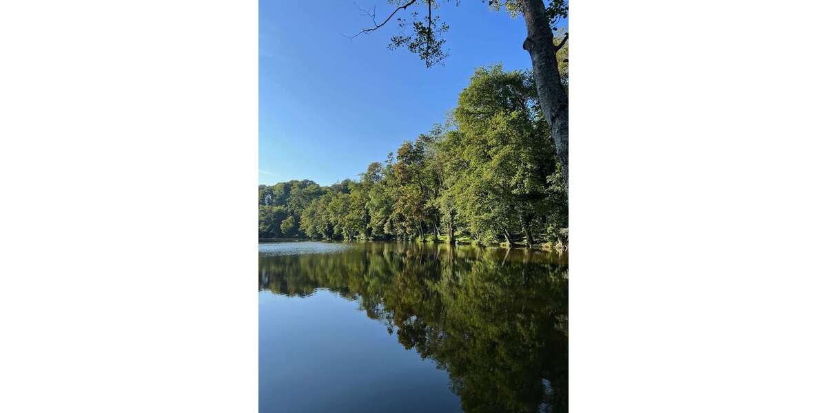 Grundstück Ebersberg - 1.000.000&euro; | Angebot:23954639