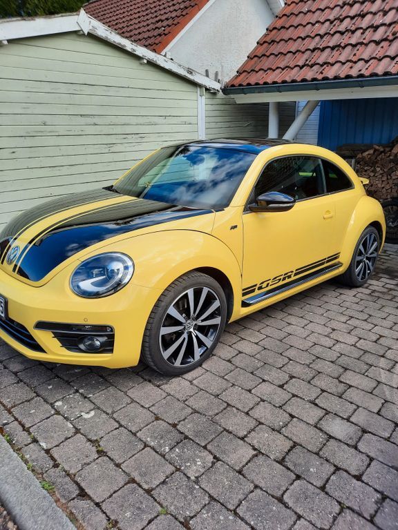 Beetle