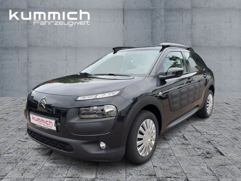C4 Cactus
