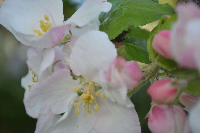 Grundstück zu verkaufen in Bad Aibling 1.390.000 € 1100 m² zimmer