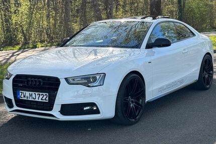 Audi A5 166.800 km 17.490 &euro; Zweibrücken 66482