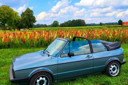 VW Golf 230.000 km 8.500 &euro; Georgsdorf 49828