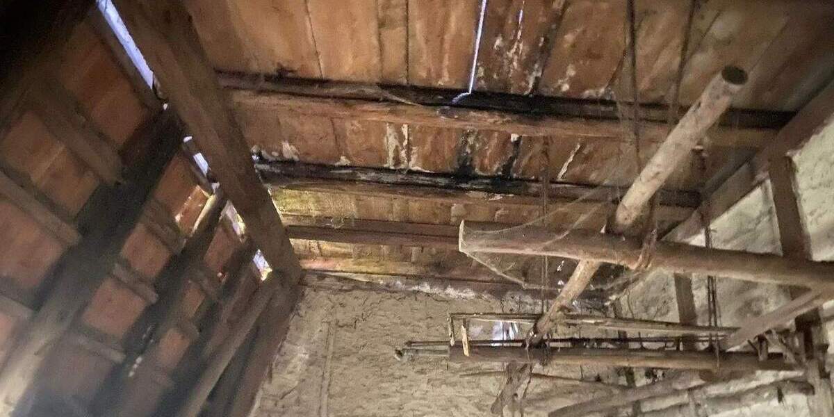 Mehrfamilienhaus, Wohnhaus Kaiserpfalz Wendelstein - 2 Zimmer, 400 m&sup2;, 150.000&euro; | Angebot:26878663