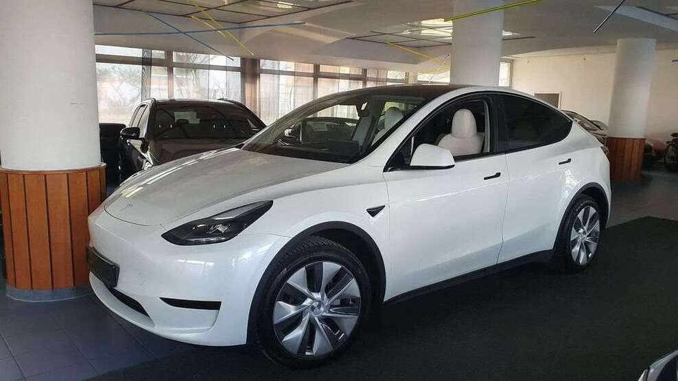 Model Y