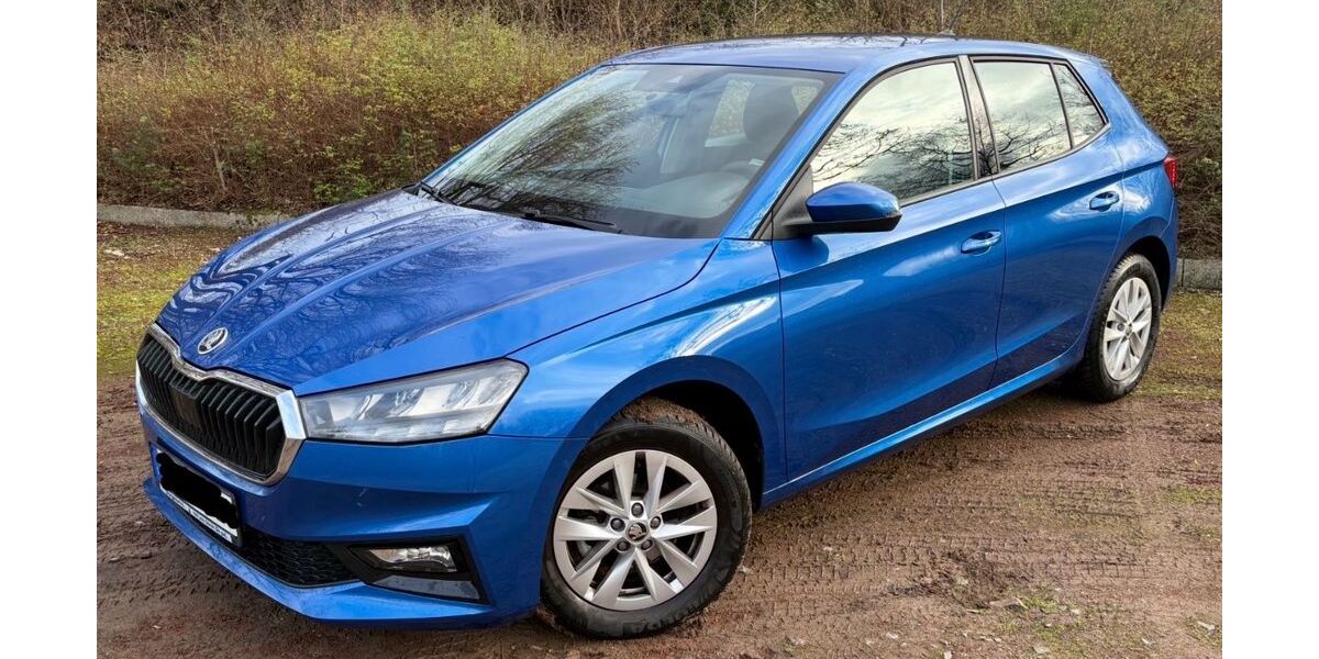 Skoda Fabia 7.890 km 15.490 &euro; Dorsten 46282