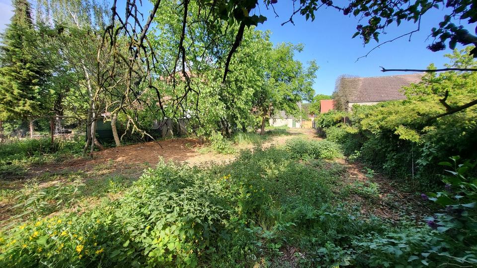 Doppelhaushälfte Zehdenick - 69.000&euro; | Angebot:26686150