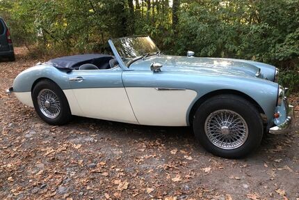 Austin Healey Andere