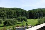 Mehrfamilienhaus, Wohnhaus Schlüchtern Ahlersbach - 1 Zimmer, 750 m&sup2;, 980.000&euro; | Angebot:25704425