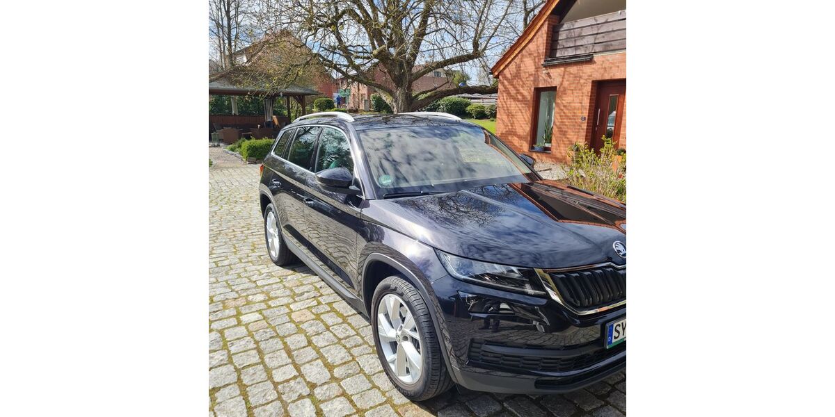Skoda Kodiaq 183.202 km 17.500 &euro; Bremen 28197