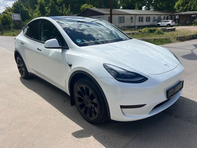 Model Y