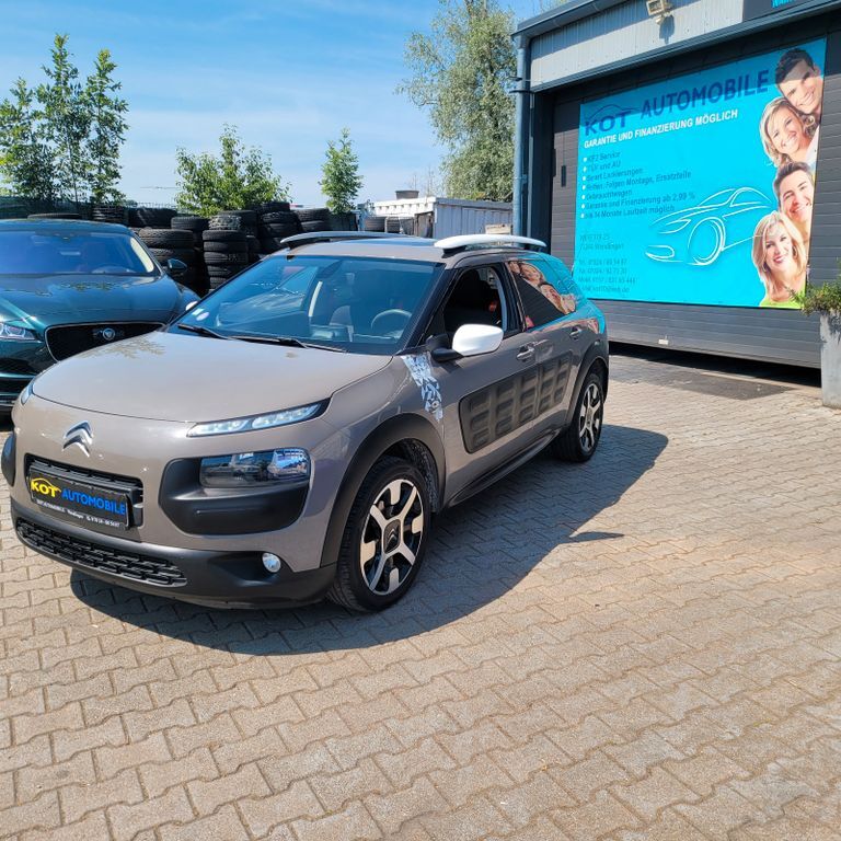 C4 Cactus