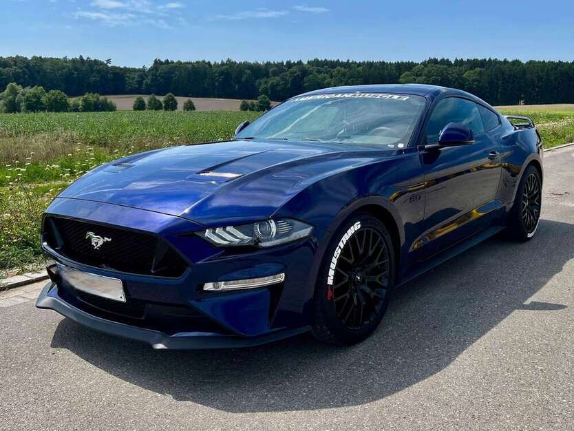 Mustang
