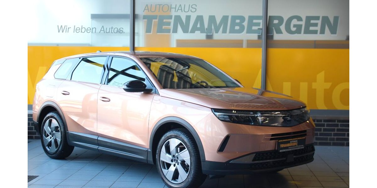 Opel Grandland (X) 10.100 km 29.900 &euro; Mettingen 49497