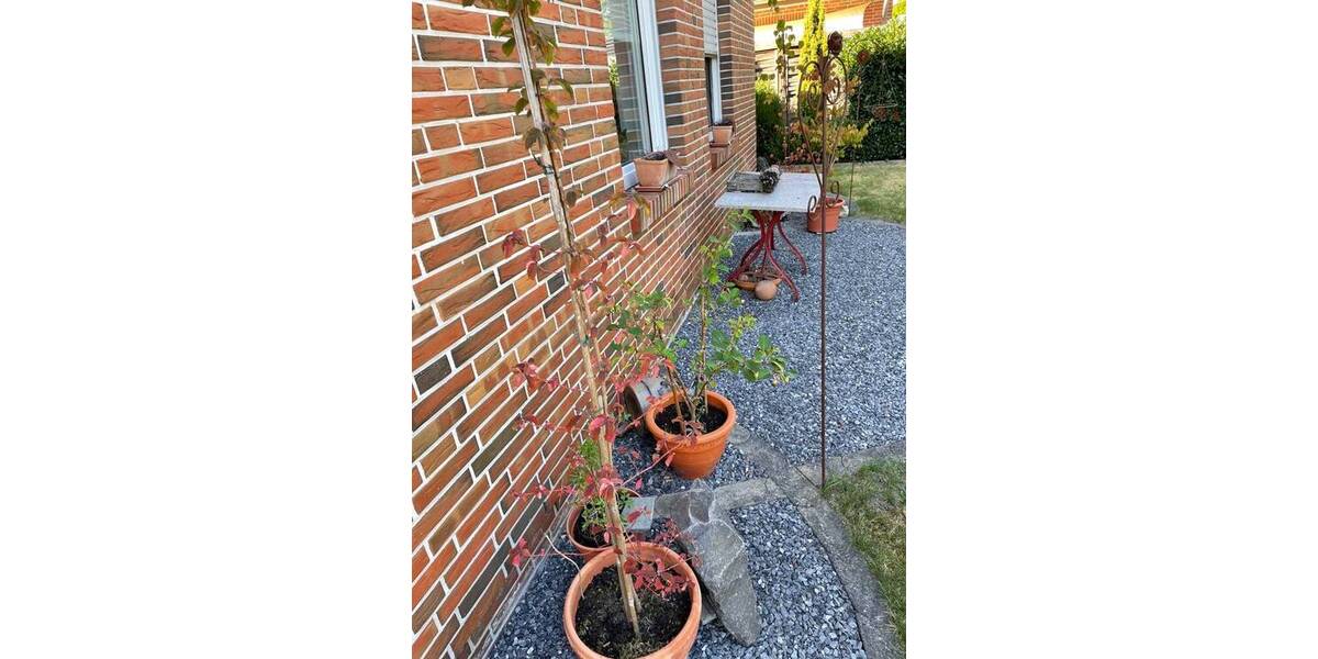Einfamilienhaus Saterland / Strücklingen Strücklingen-Bollingen I - 4 Zimmer, 110 m&sup2;, 219.000&euro; | Angebot:26155374