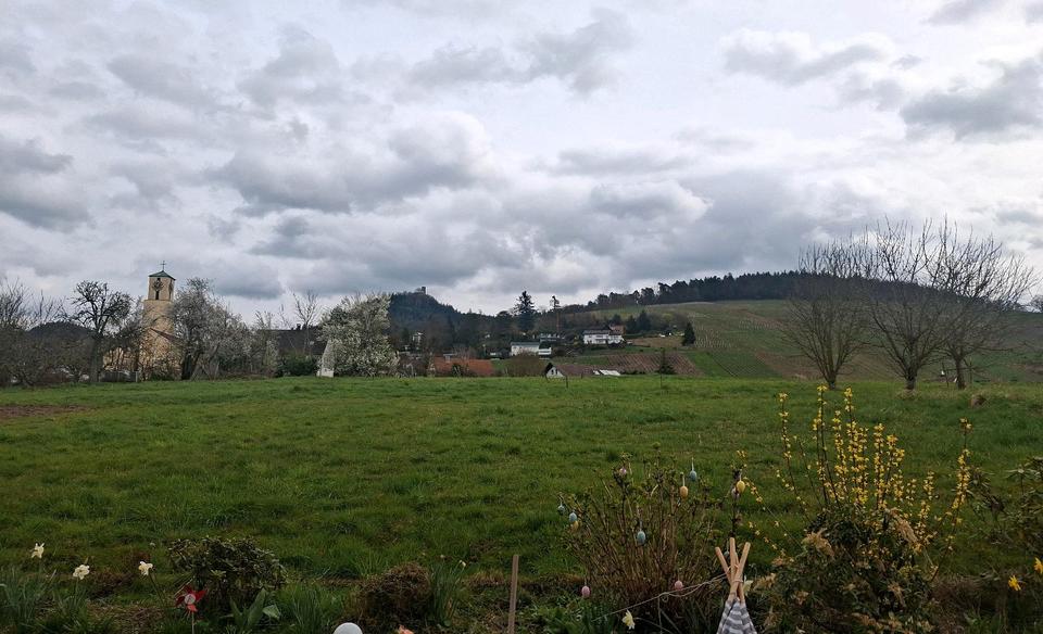 Maisonettenwohnung Sinzheim - 1 Zimmer, 80 m&sup2;, 850&euro; | Angebot:25498365