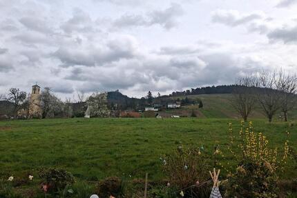 Wohnung Sinzheim - 1 Zimmer, 80 m&sup2;, 850&euro; | Angebot:25498365