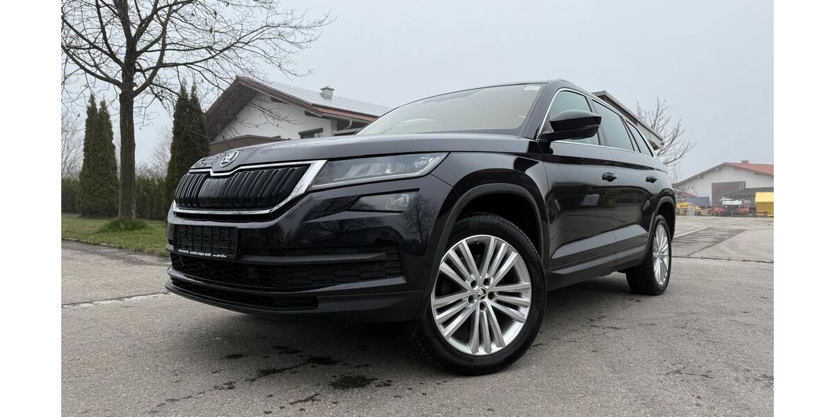 Skoda Kodiaq 117.901 km 23.980 &euro; Seeg 87637