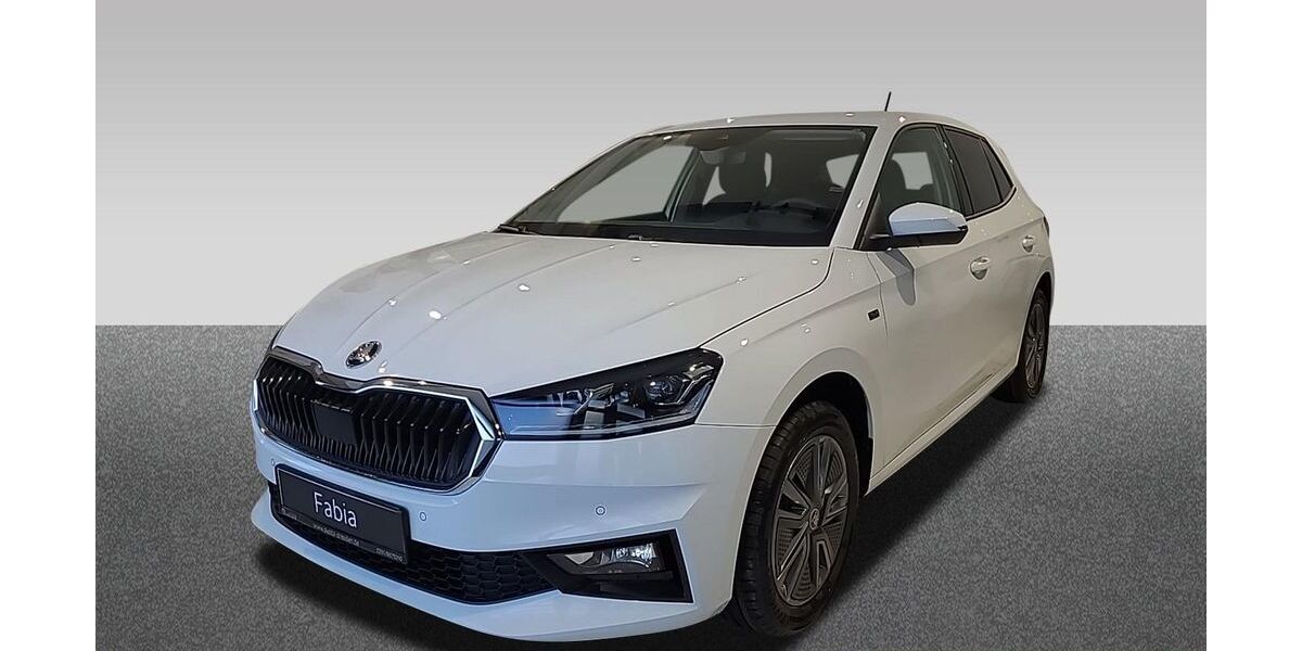 Skoda Fabia 3.678 km 20.840 &euro; Dresden 01067