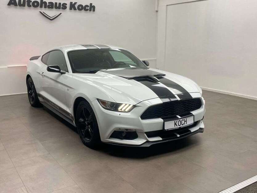 Mustang