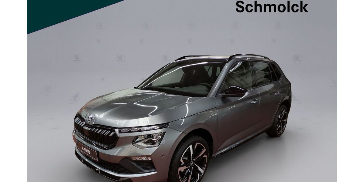 Skoda Kamiq 3.000 km 30.890 &euro; Emmendingen 79312