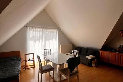 Schöne 1-Zimmer-Wohnung mit TG-Stellplatz in Worms-Wiesoppenheim 1 zimmer