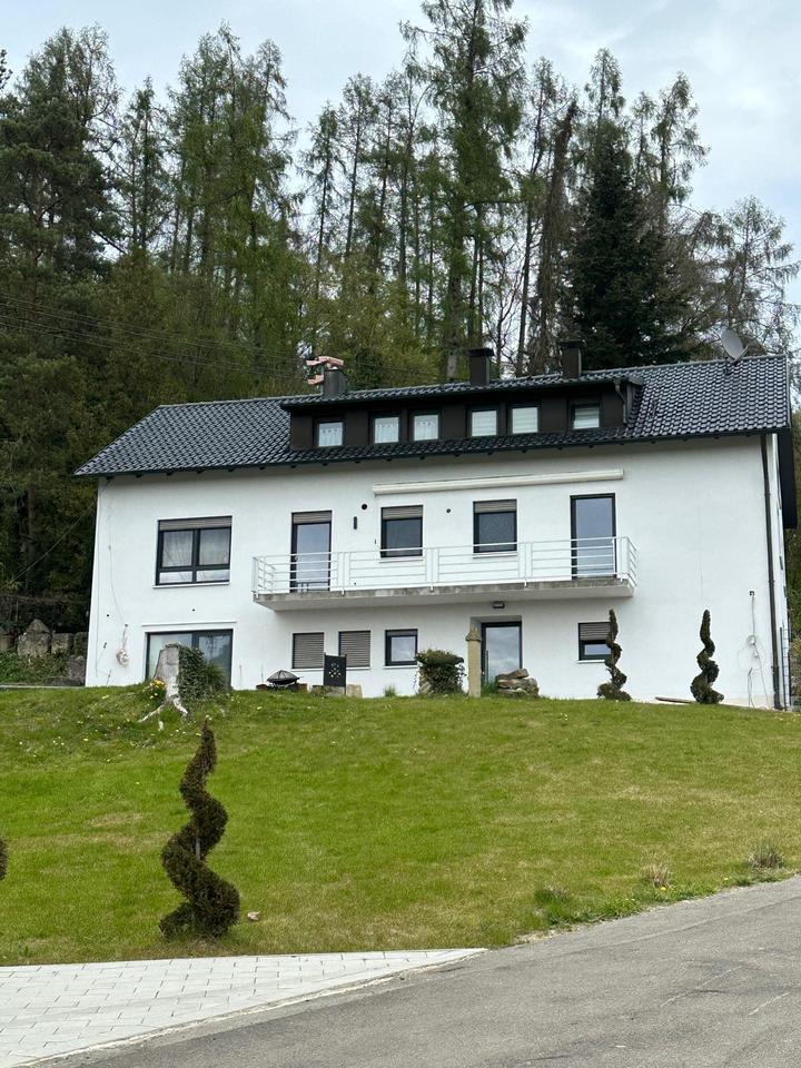 Renovierte 5 Zimmer Wohnung mit Balkon und Terrasse zur Miete