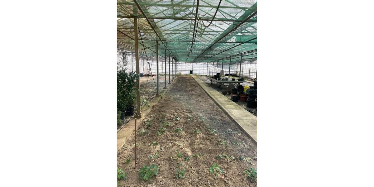 Grundstück Köln Kalk - 600&euro; | Angebot:26115961