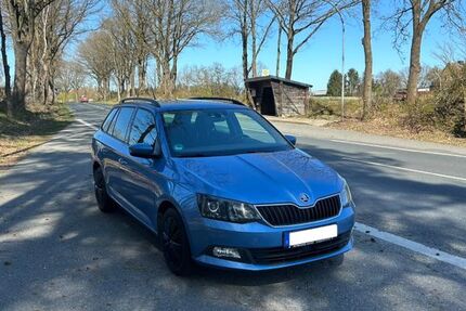 Skoda Fabia 206.000 km 5.290 &euro; Ebstorf 29574
