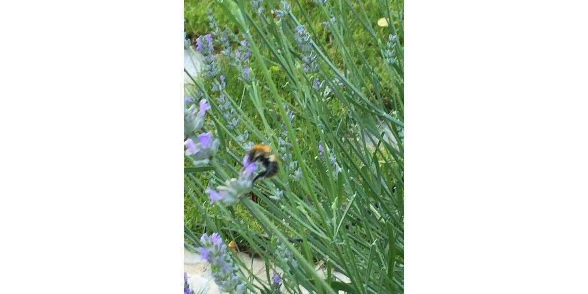 Grundstück Olching - 730.000&euro; | Angebot:25708215