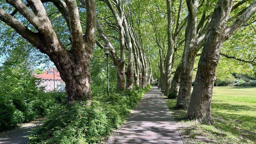 Etagenwohnung Uelzen - 3 Zimmer, 82 m&sup2;, 225.000&euro; | Angebot:24722656