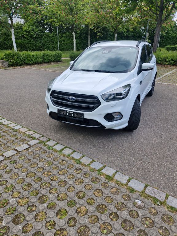 Kuga