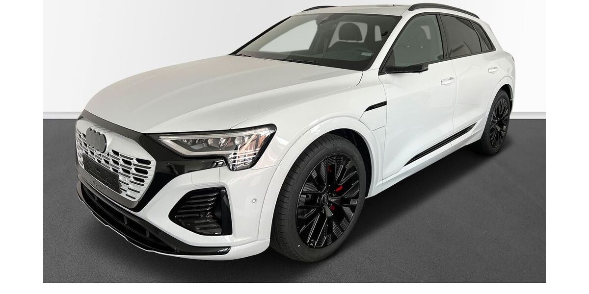 Audi Q8 e-tron 48.898 km 55.489 &euro; Mölln 23879