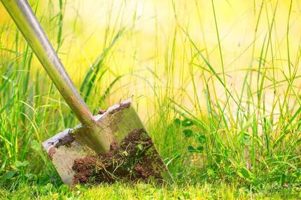 Hier finden Bauträger und Investoren ein interessantes Angebot! zimmer