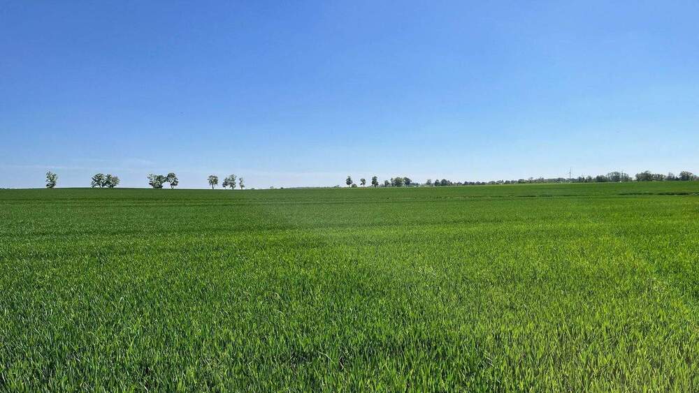 Bungalow Rehfelde - 3 Zimmer, 75 m&sup2;, 320.000&euro; | Angebot:25190320