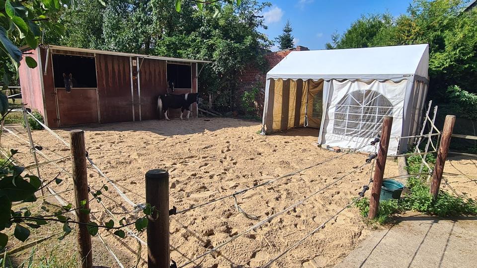 Mehrfamilienhaus, Wohnhaus Hohenhameln - 15 Zimmer, 450 m&sup2;, 1.300.000&euro; | Angebot:26409955