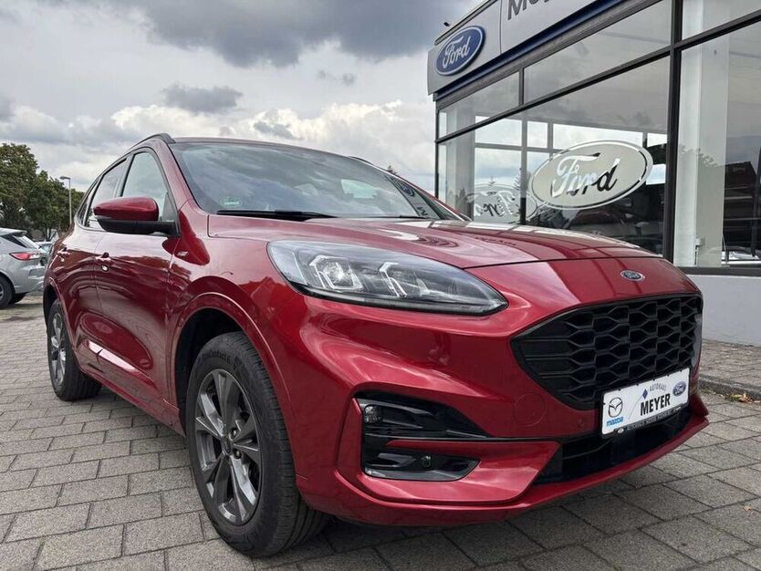 Kuga