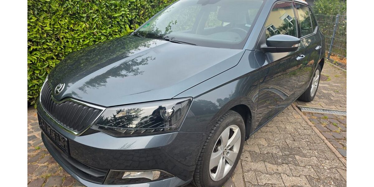 Skoda Fabia 114.850 km 8.499 &euro; Harxheim 55296
