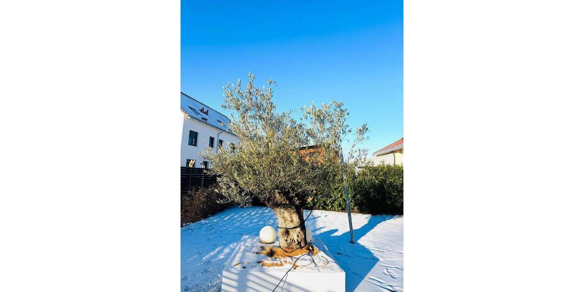 Reihenendhaus Rottenburg Ergenzingen - 5 Zimmer, 155 m&sup2;, 680.000&euro; | Angebot:24567119