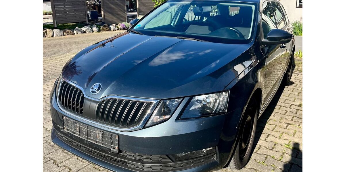 Skoda Octavia 207.728 km 6.900 &euro; Lindau 88131