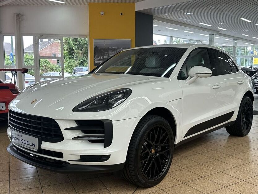 Macan