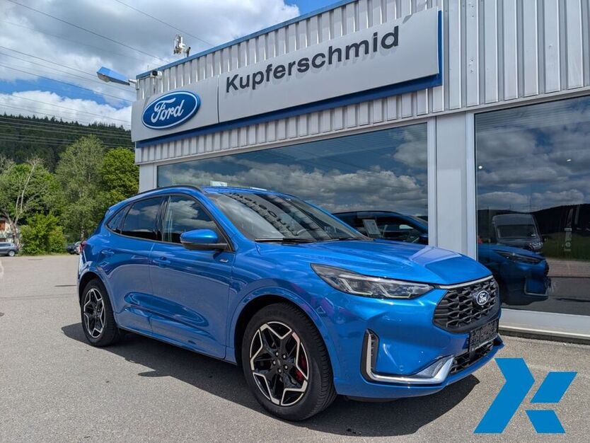 Kuga