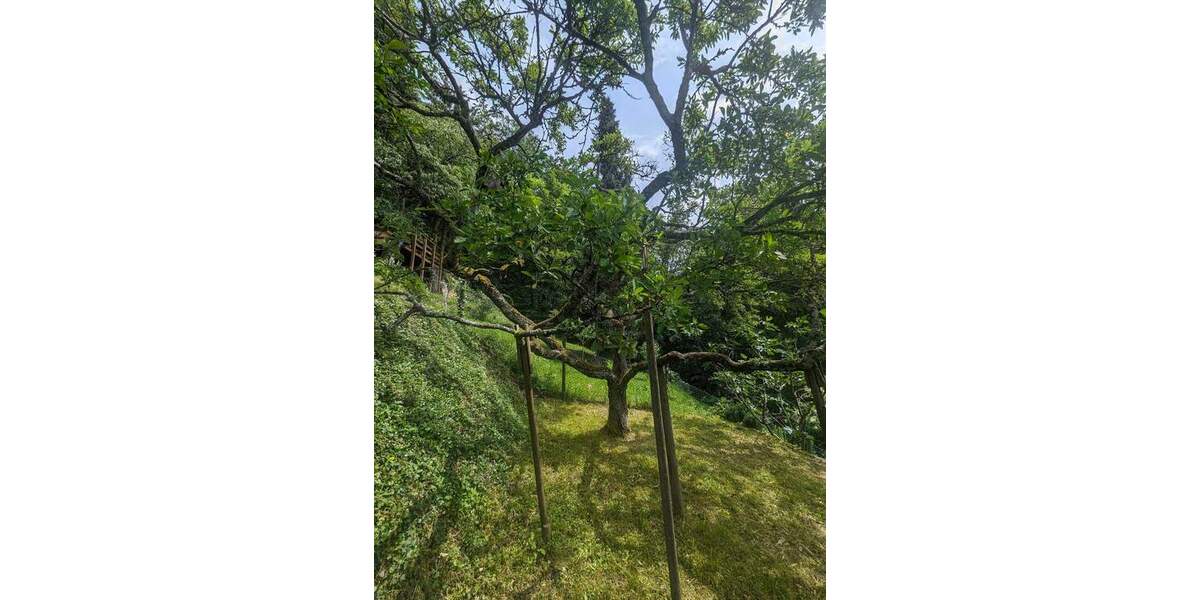 Grundstück Remshalden Geradstetten - 55.000&euro; | Angebot:25704170