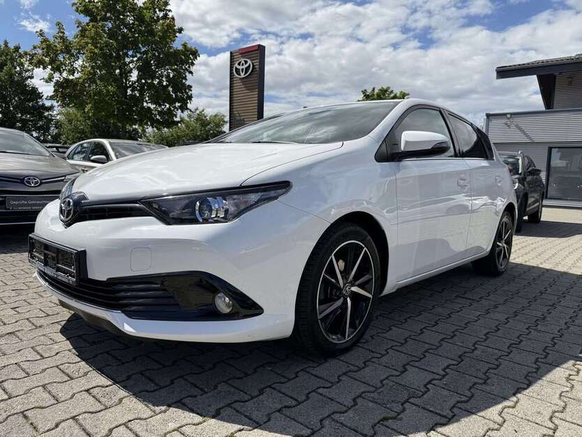 Auris