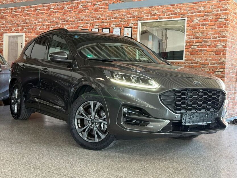Kuga